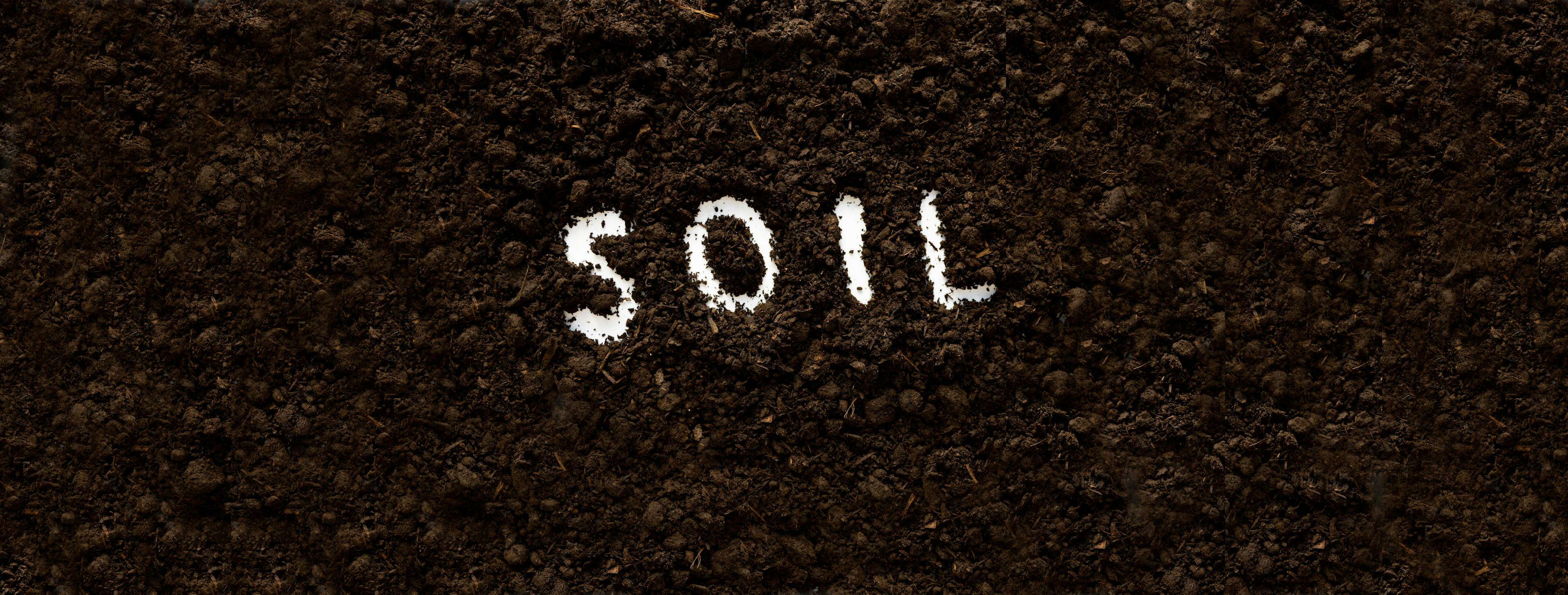 A close-up of dark soil.