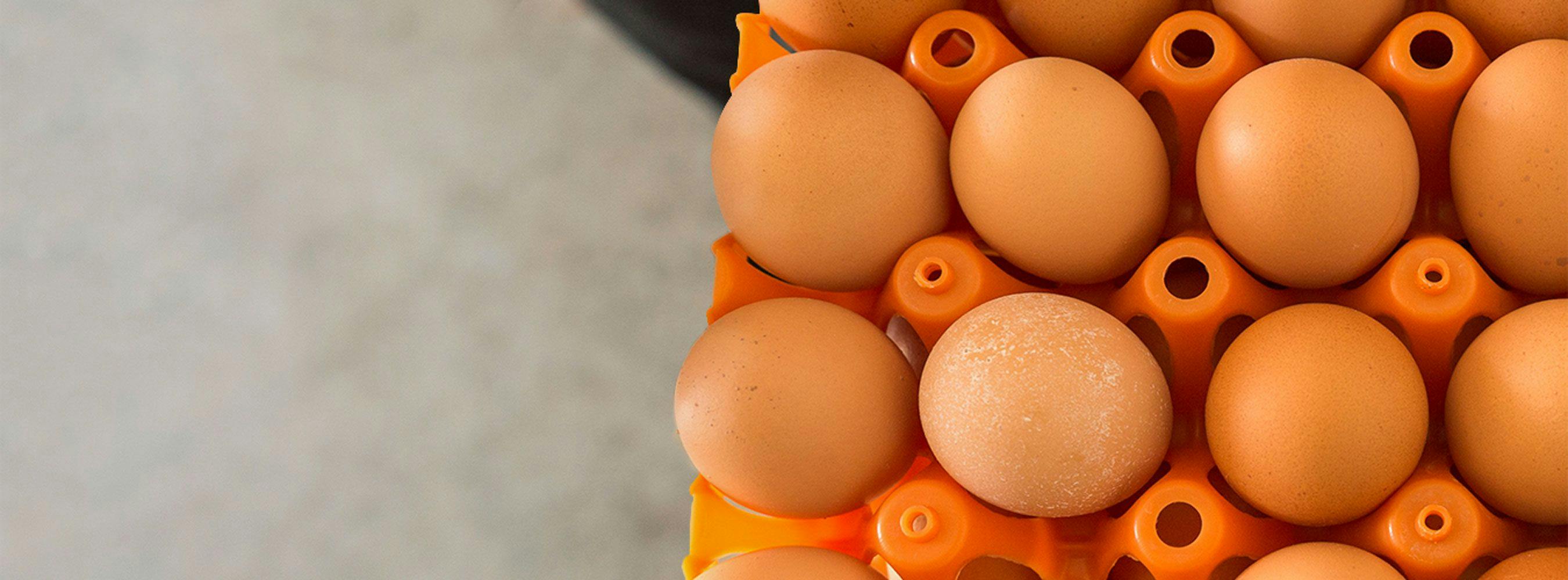 A crate of brown, organic eggs.
