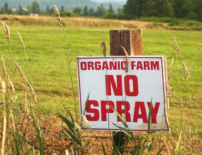 Organic Farm No Spray Sign