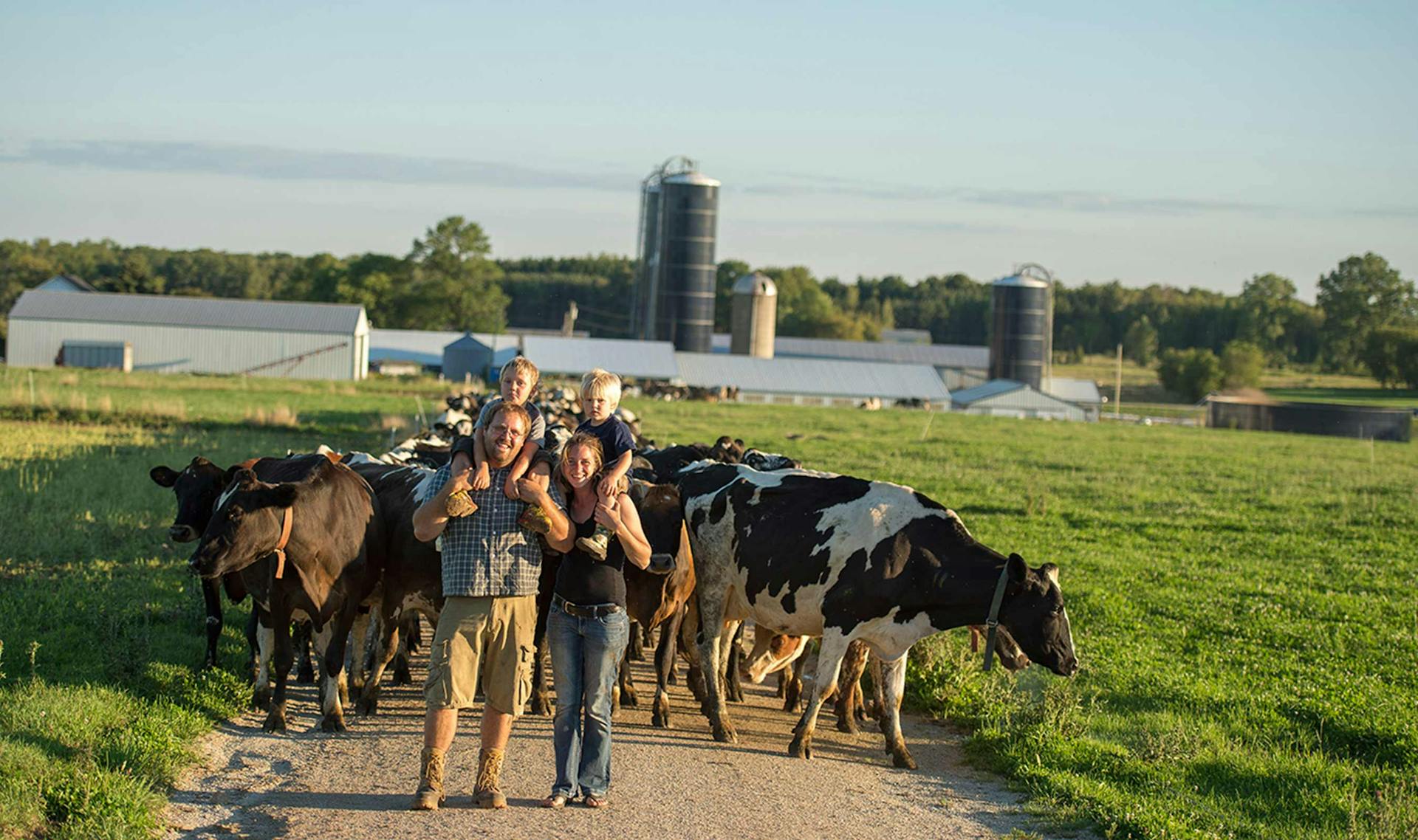 Two parents standing on a dirt path with their toddler sons on their shoulder with a large herd of cows behind them.