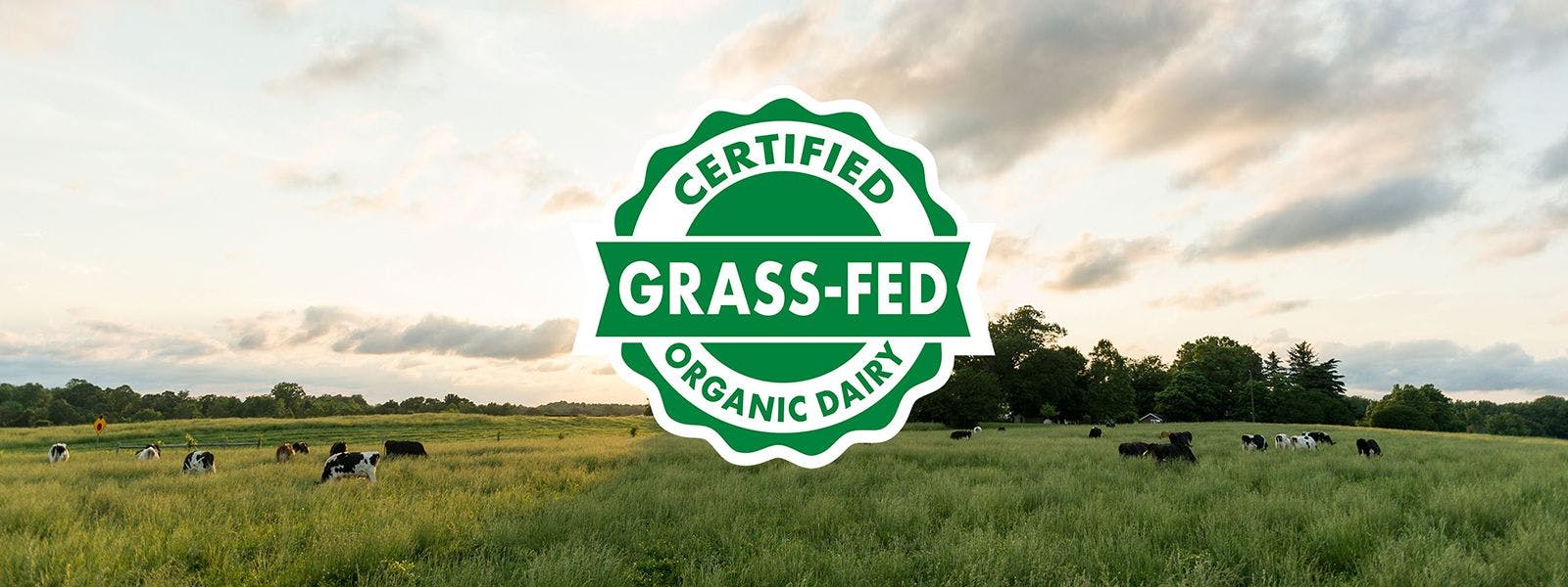 Certified Grass-fed Organic seal overlaid on an image of a green pasture.