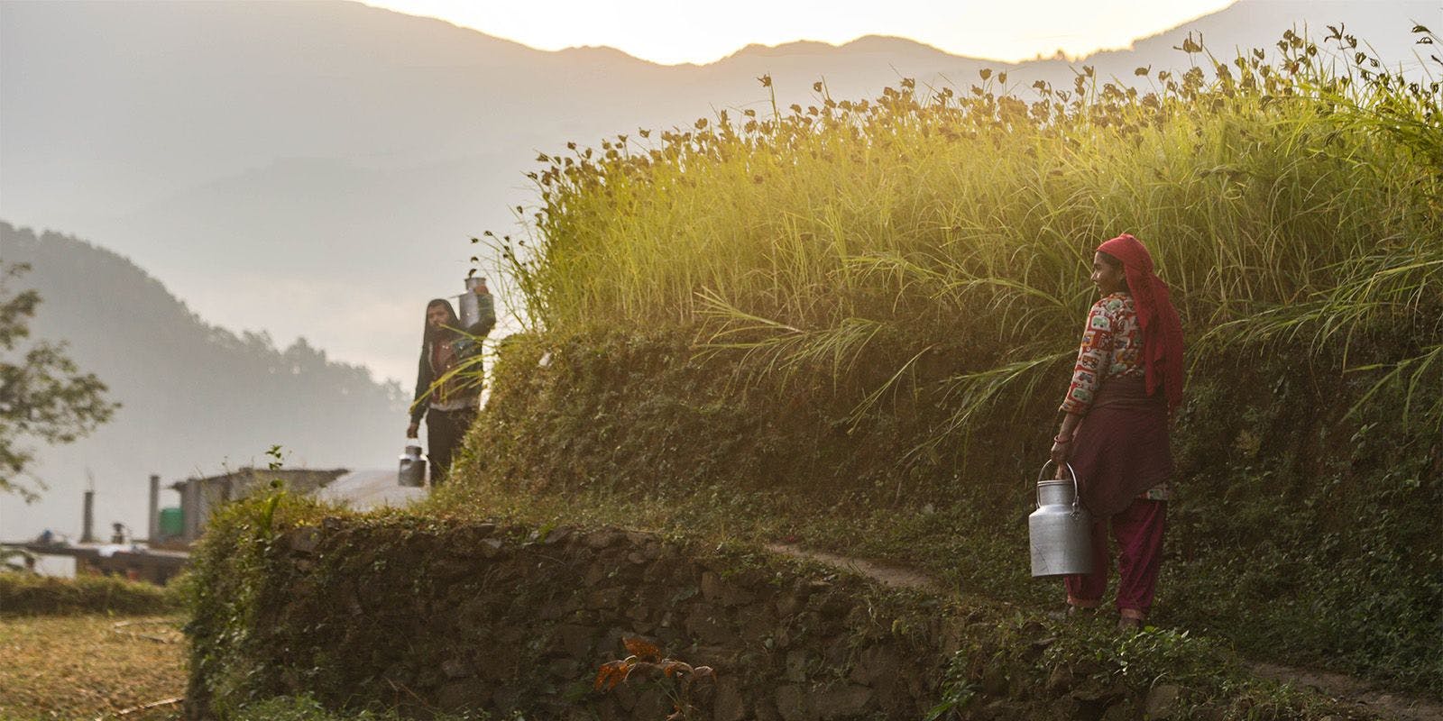 People carry milk cans in Nepal.