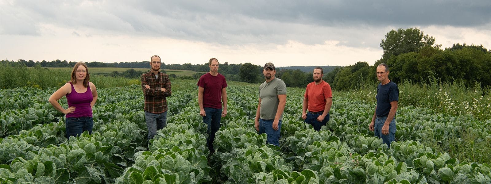 Farmers standing between rows of vegetables.