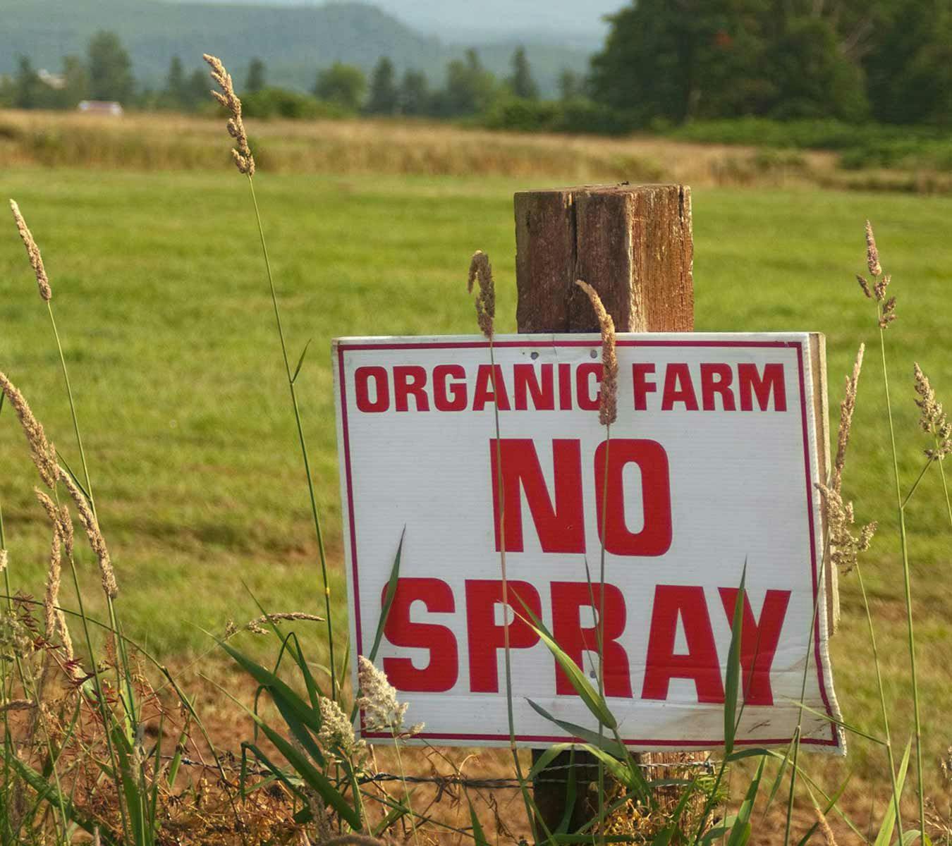 Organic Valley farmers use innovative techniques instead of toxic pesticides and fertilizers.