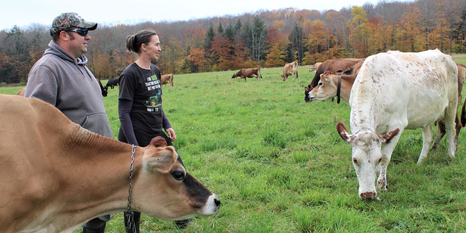 A Vermont couple in a field with cows.