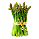 A fresh bundle of asparagus