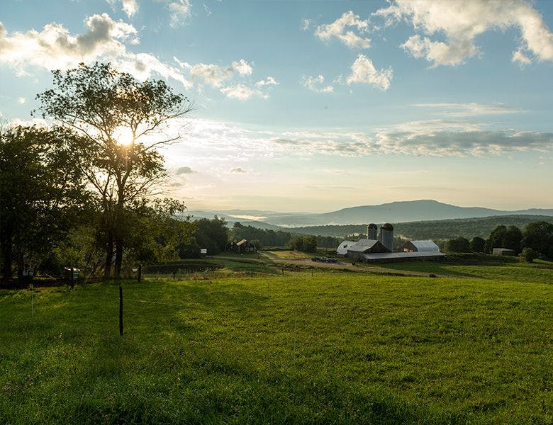A picturesque Organic Valley farm in the Northeast region