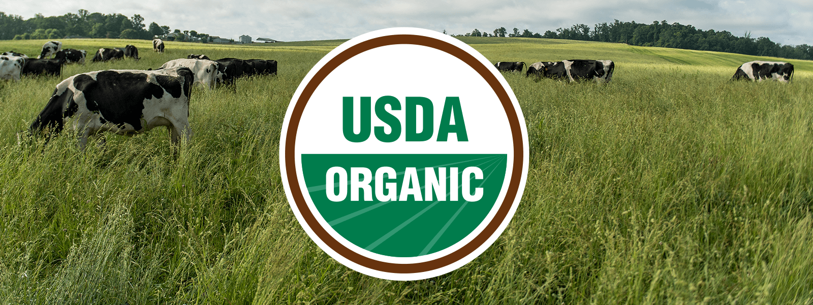 The USDA Organic seal overlaid on a photo of cows in long green pasture