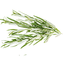 A small bunch of rosemary.