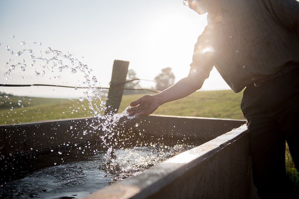 A man splashes water from a trough while backlit by the sun, making the water droplets sparkle.