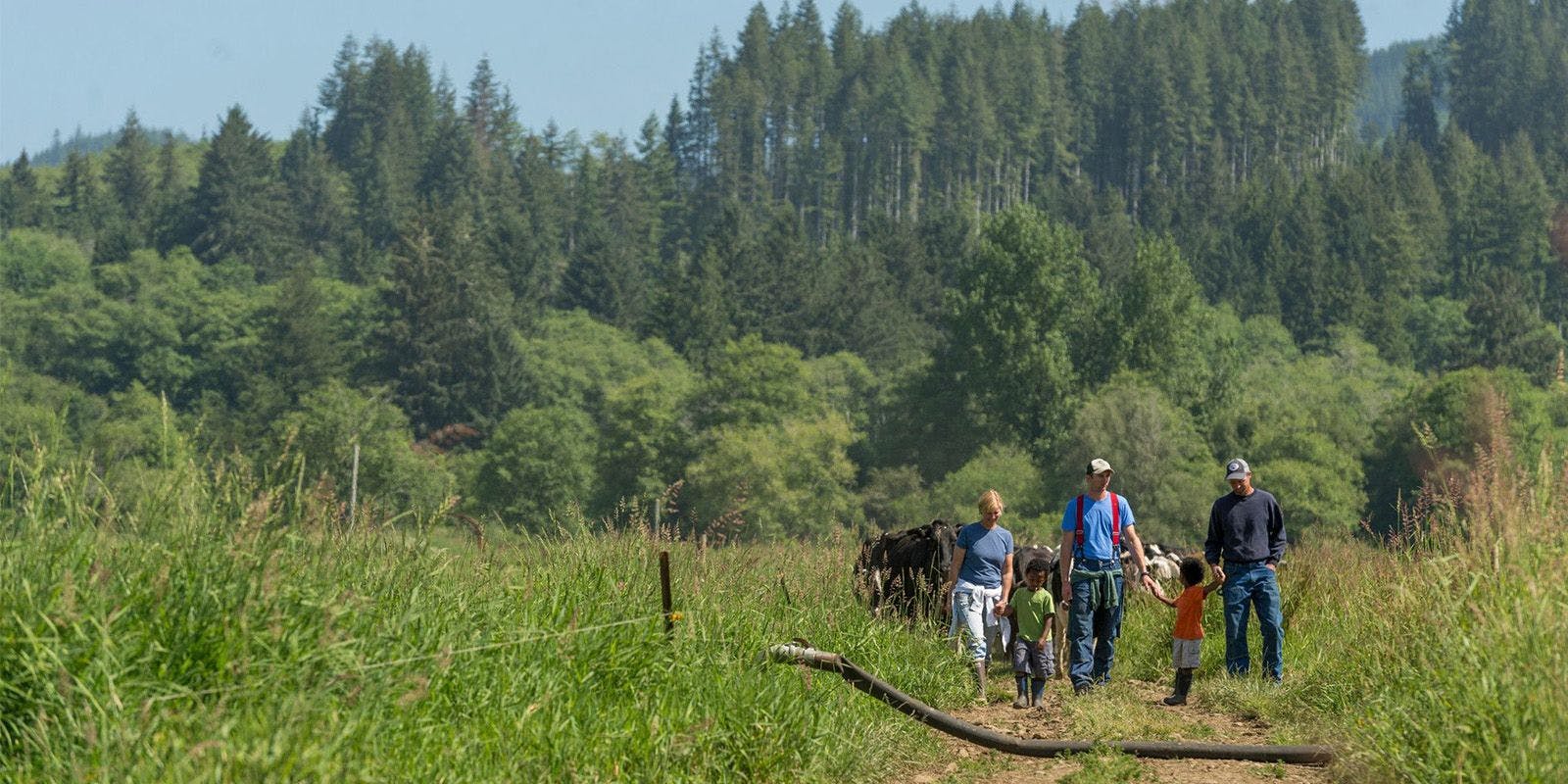 The Burkhalter family walks through grasses and trees stand in the background at their organic farm in Washington