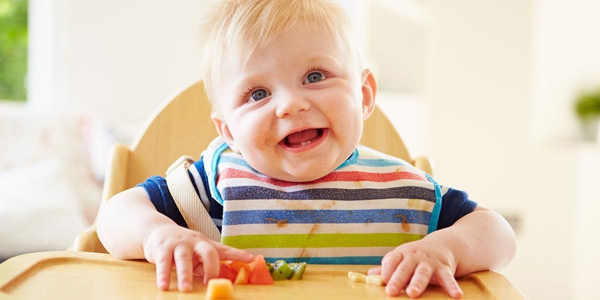 Toddler sitting in his highchair eating cheese and other food
