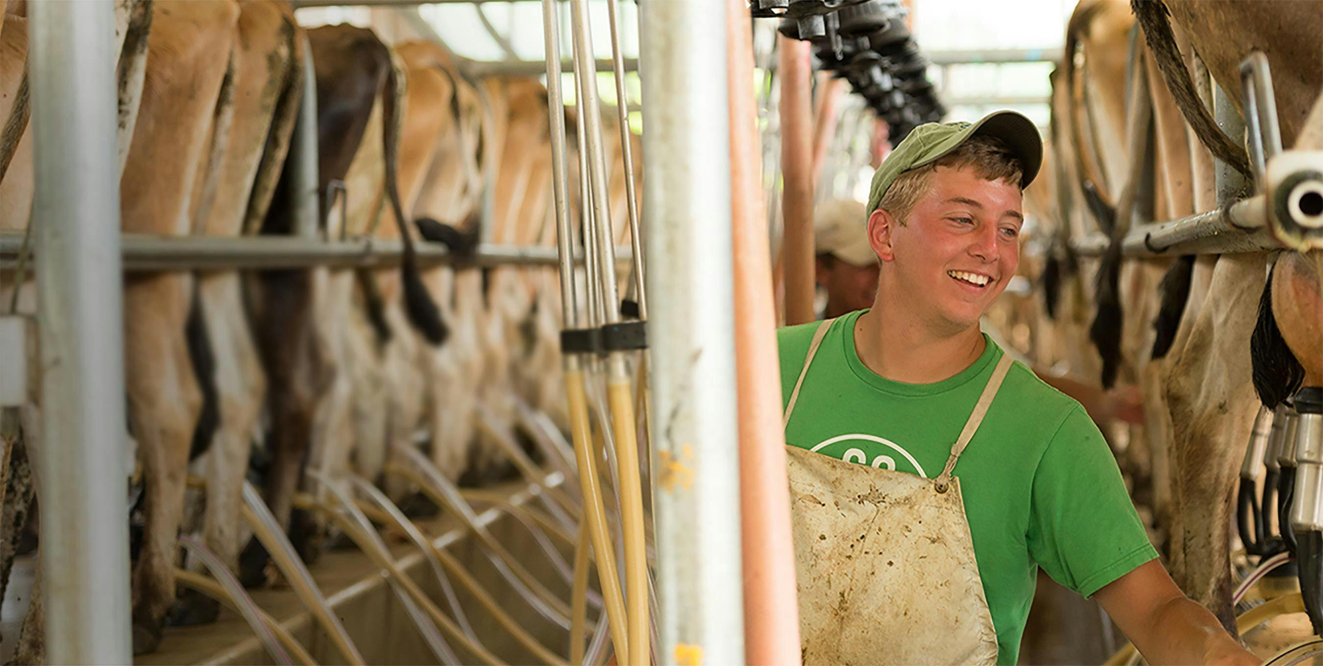 A farmer standing in his cow barn getting ready for milking.