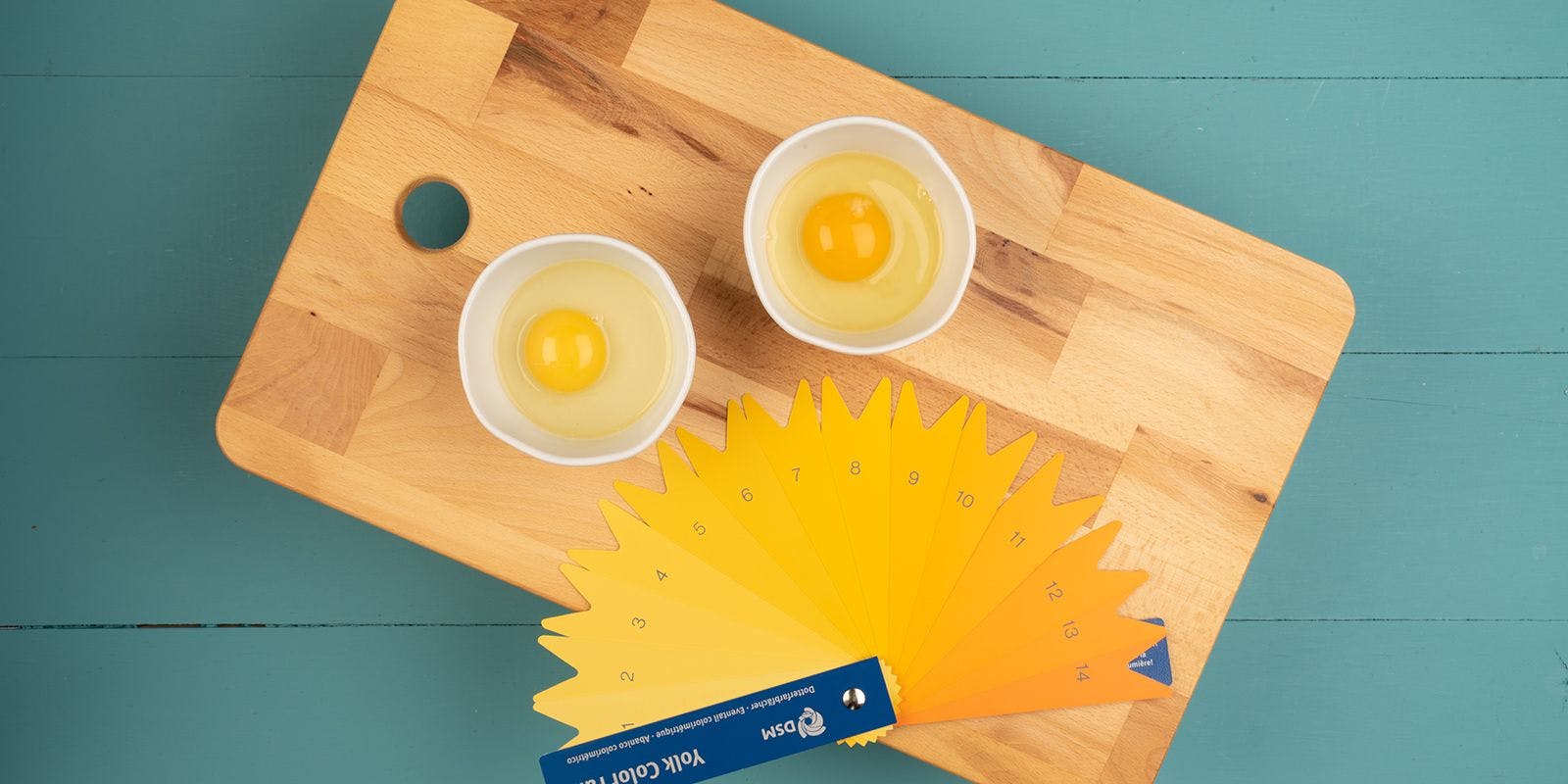 Two cracked eggs compare coloring to the egg yolk color swatches.