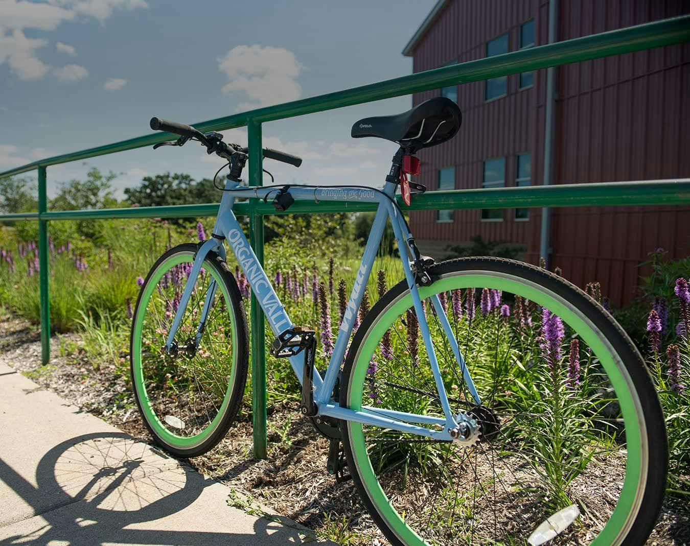 A bike resting on a fence outside Organic Valley's office building.