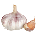 A head of garlic with a clove on the side.