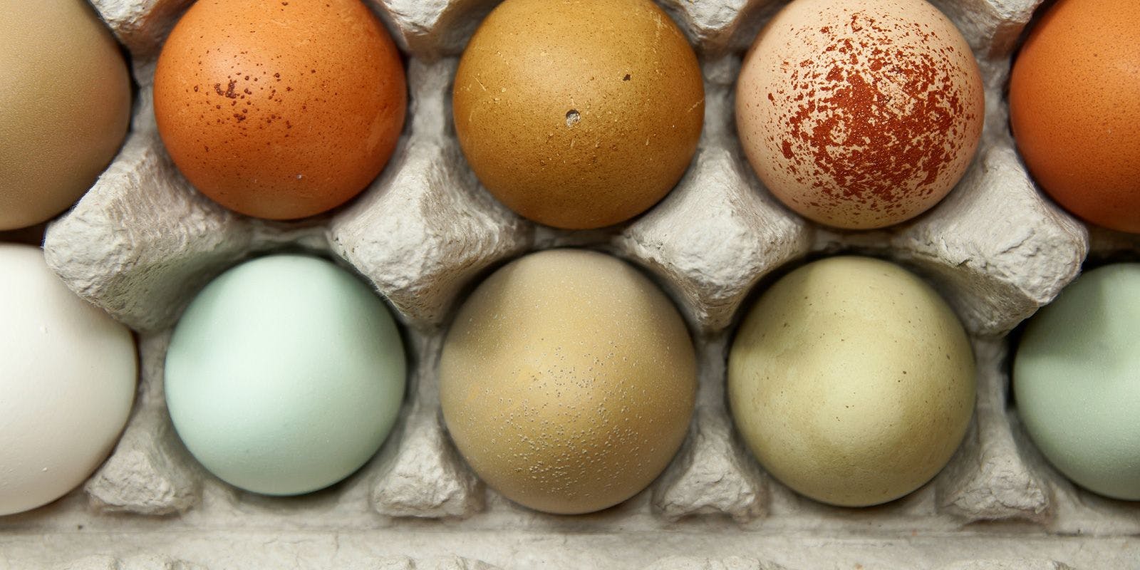 A carton of colorful eggs.