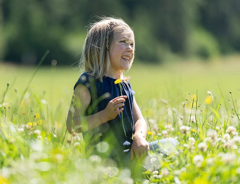A young child picking flowers in a field.