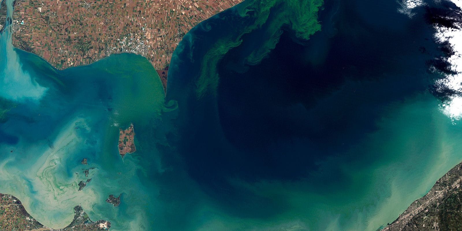 Aerial view of the toxic algae bloom in Lake Erie. (Source: NASA)