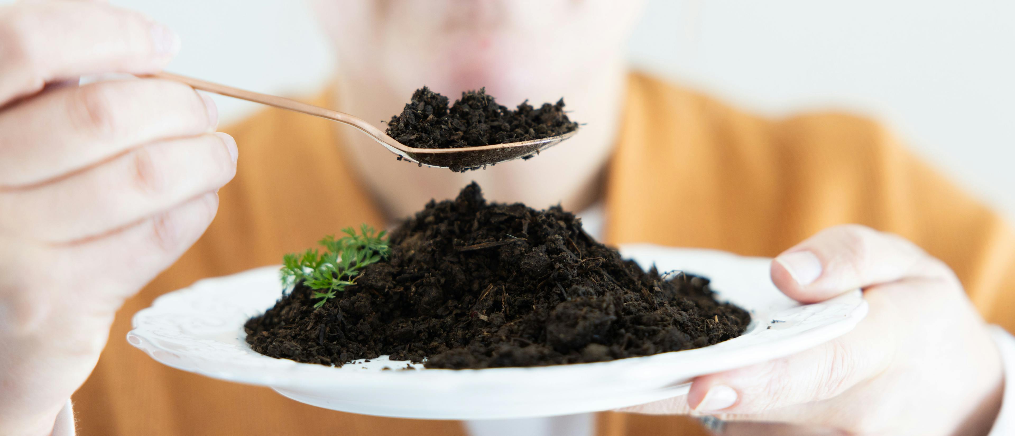 A woman scoops a spoonful of soil from a plate.