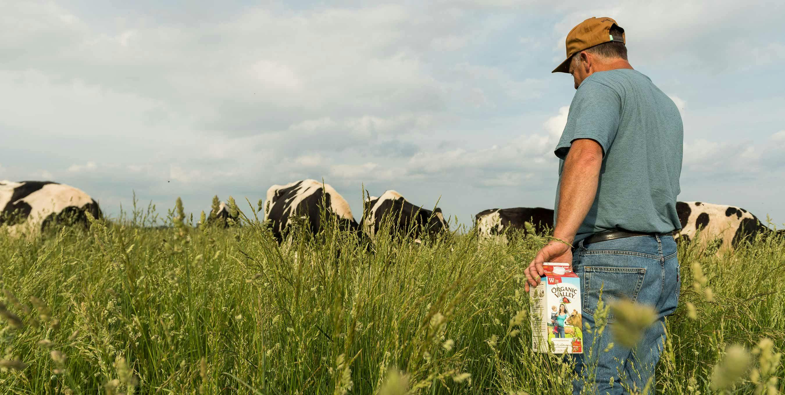 An Organic Valley farmer walking with a half gallon of Organic Valley milk