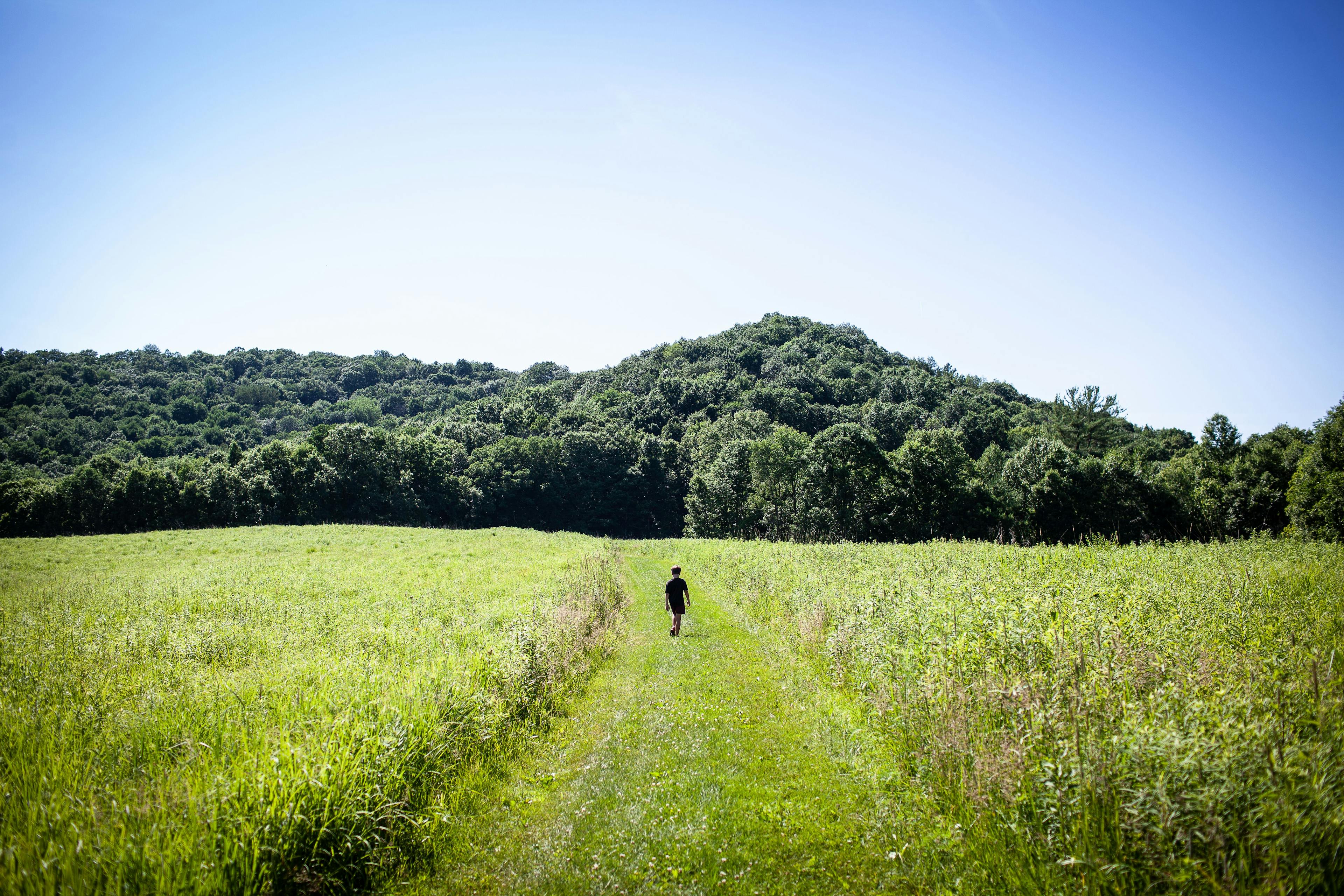A boy walks a trail through a grassy field toward tree-covered hills.