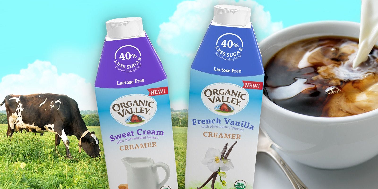New Organic Valley lactose-free creamers.