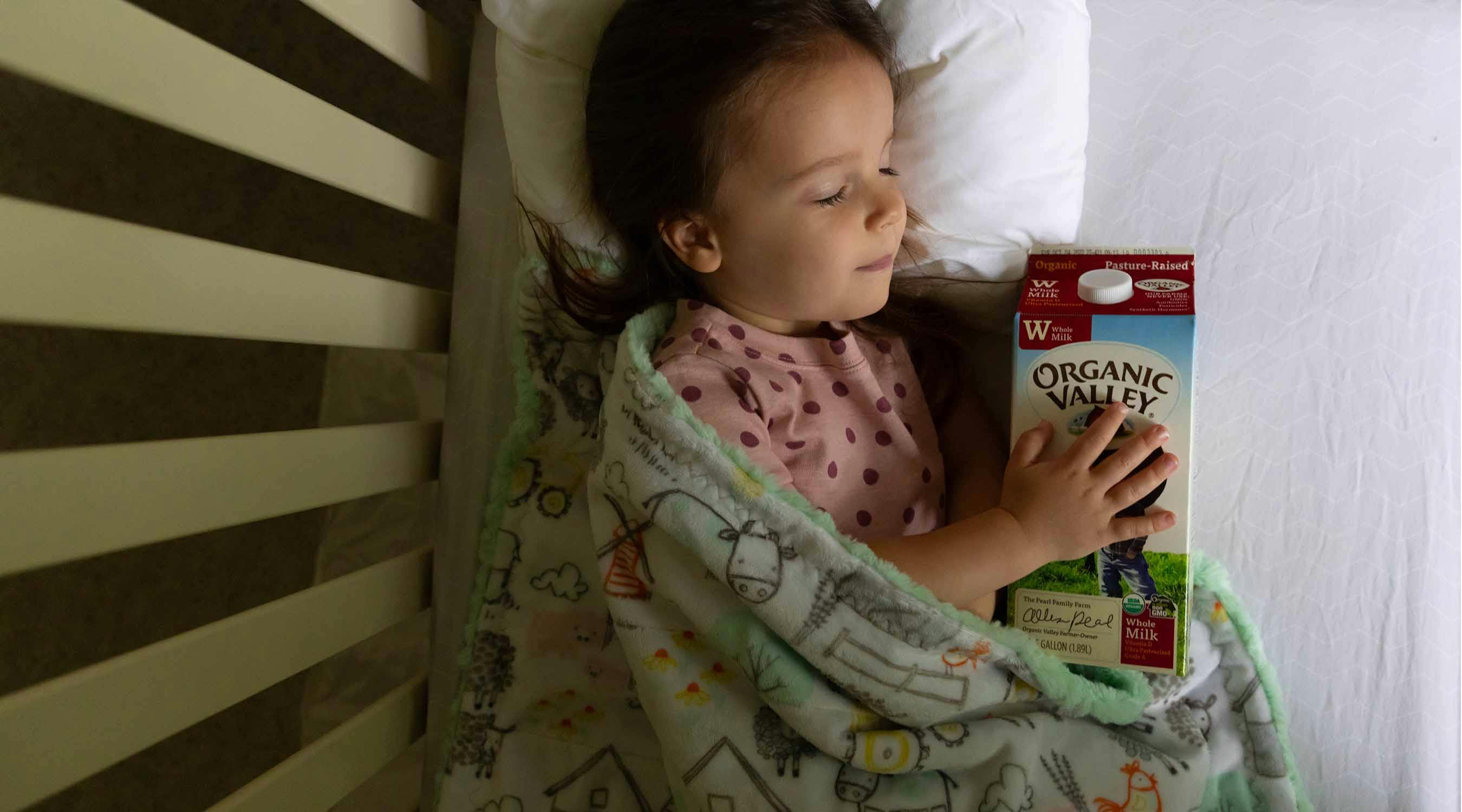 A toddler sleeps while holding milk.Organic Valley Image