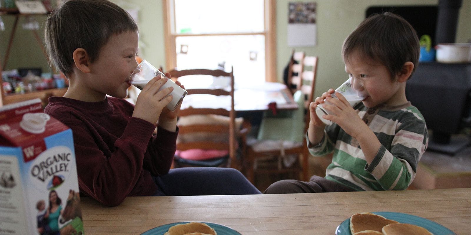 Kids drinking milk at breakfast table.