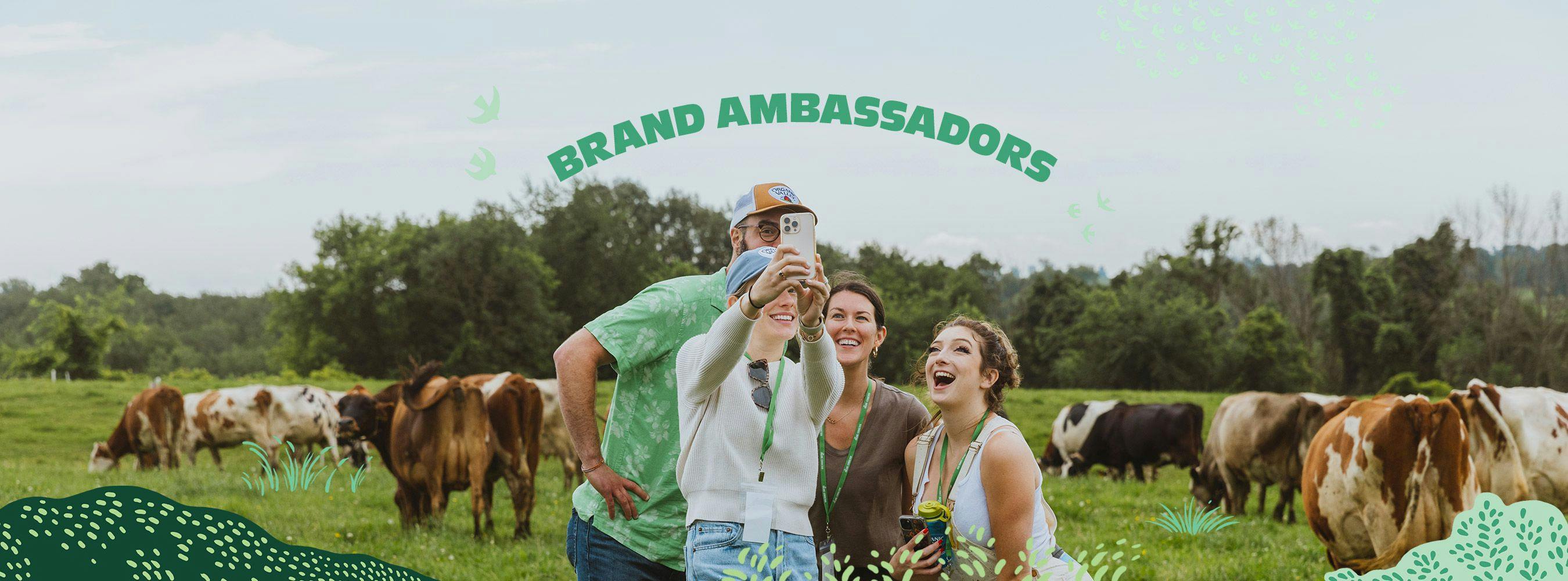 People from Organic Valley's Ambassador Program with cows in the background.