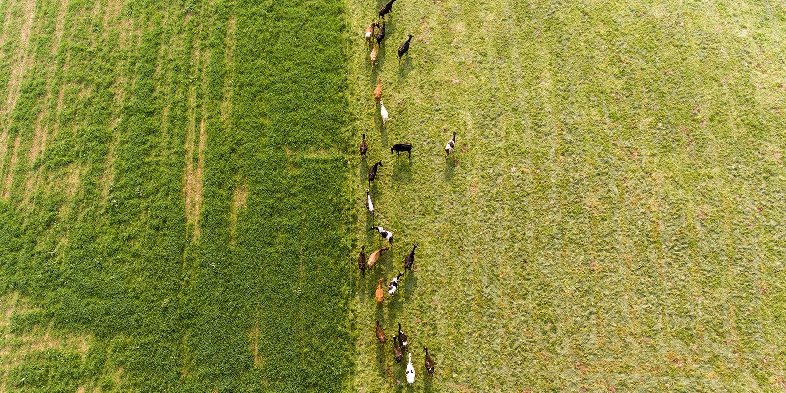 Aerial shot of the Stoltzfoos family farm in Pennsylvania.