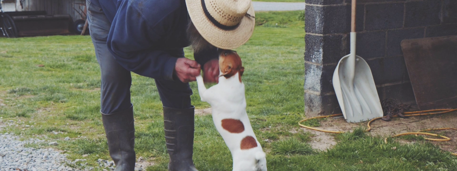 A man wearing a straw hat bends down to get kisses from his brown and white terrier.