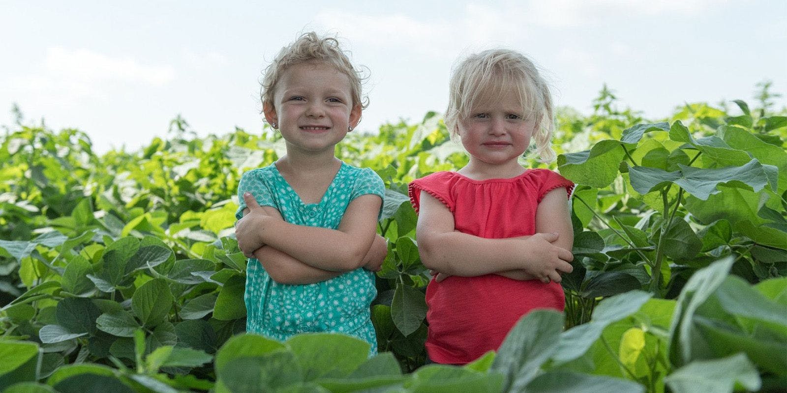 Two girls stand with their arms crossed in a field of organic soybeans on an organic farm in Wisconsin.